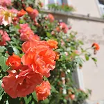 Romantik Otel 3*